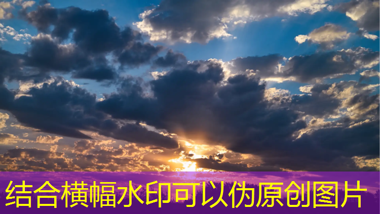 飞尔顿哑铃怎么样