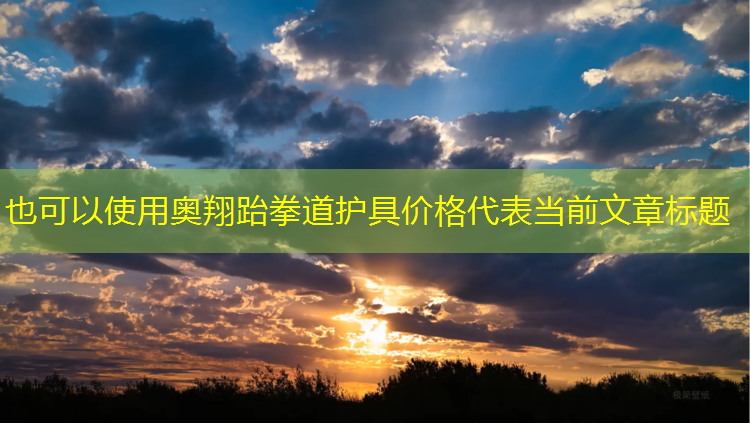 奥翔跆拳道护具价格