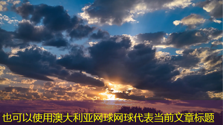 澳大利亚网球网球