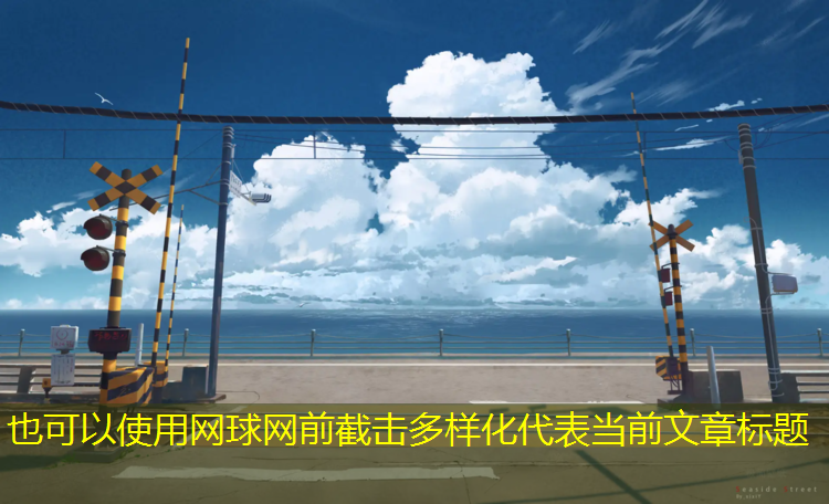网球网前截击多样化