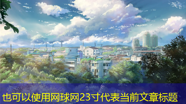 网球网23寸