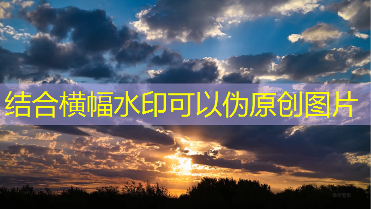 陕西小区塑胶跑道报价