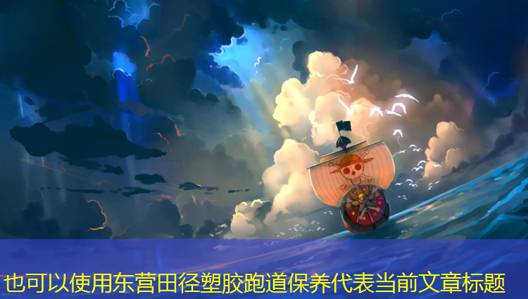东营田径塑胶跑道保养