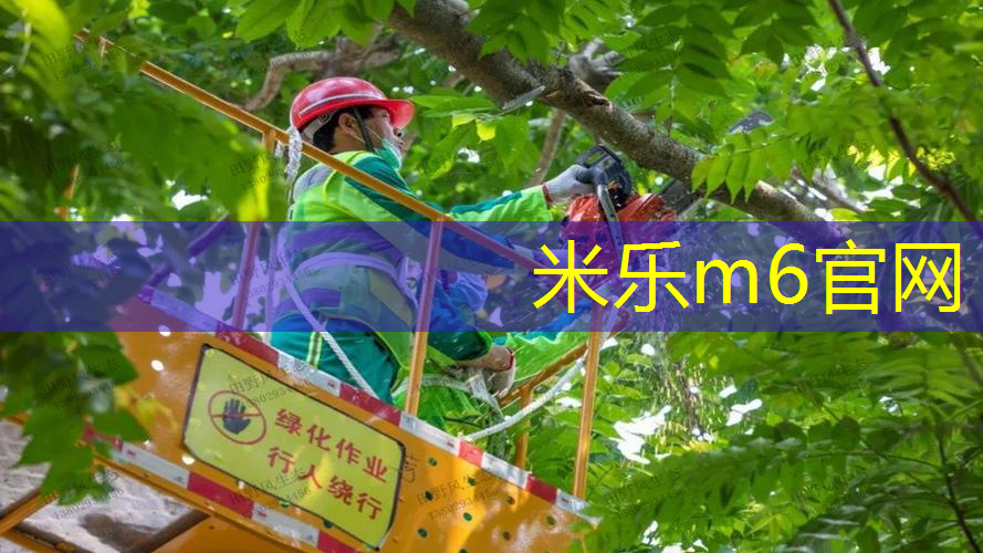 mile·米乐m6：网球拍选择多少拍面最好