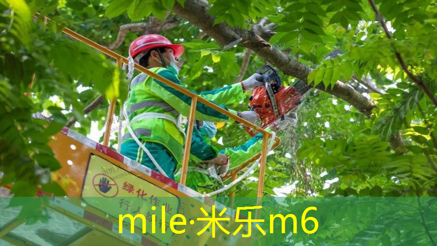 mile·米乐m6：用网球拍拉伸肌肉的方法