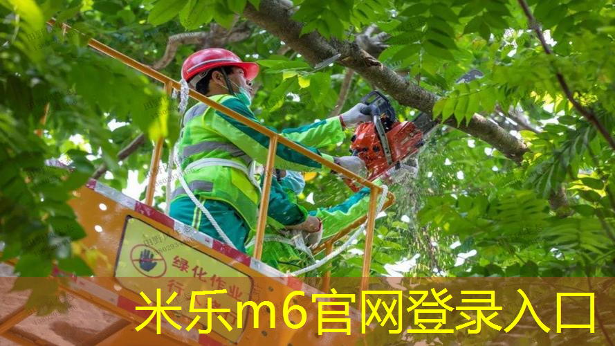 网球拍两条白线