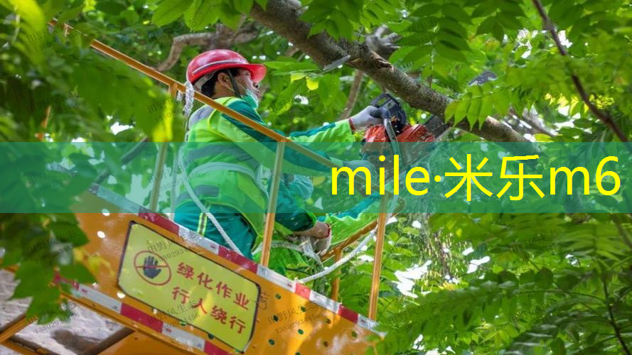 米乐m6官网：网球拍拉硬线还是软线好