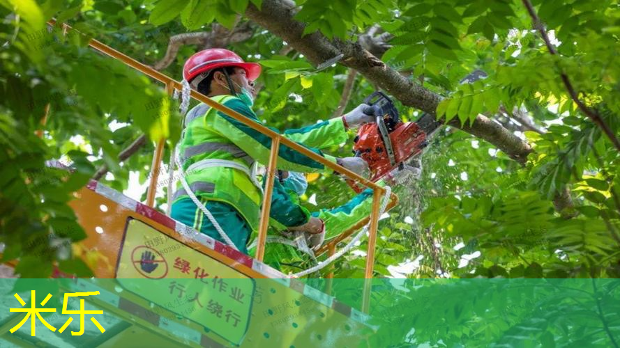 米乐：铝合金网球拍能打多久