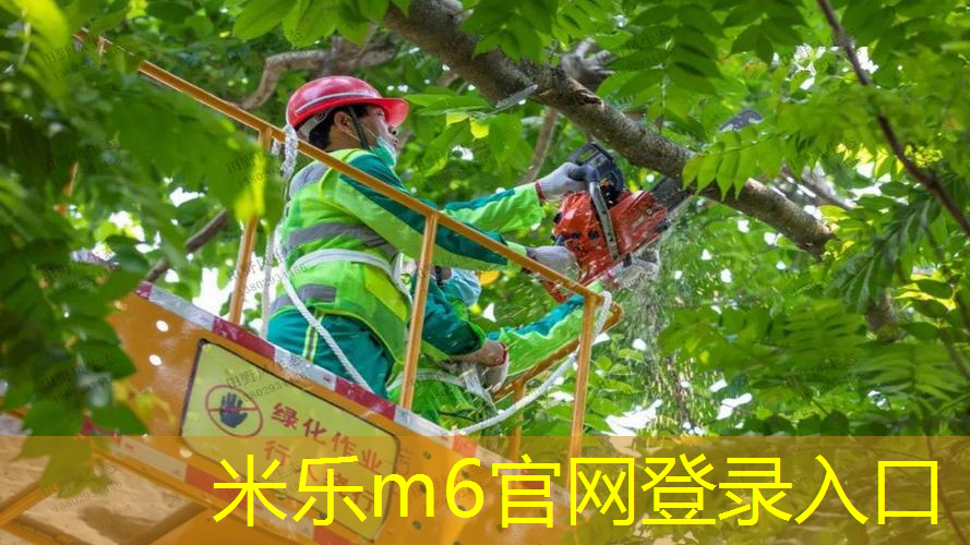米乐m6官网：合肥尤尼克斯网球拍