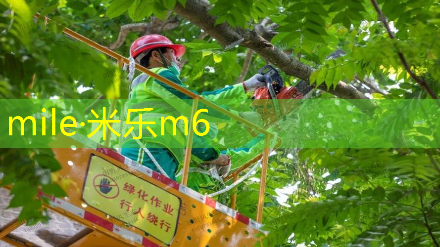 米乐：网球拍手柄用多大的