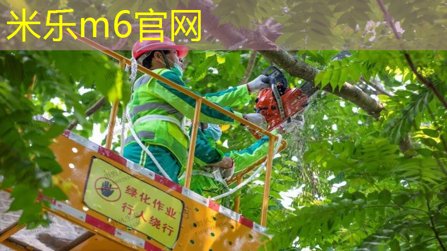 米乐m6官网登录入口：博士来网球拍怎么样好吗_