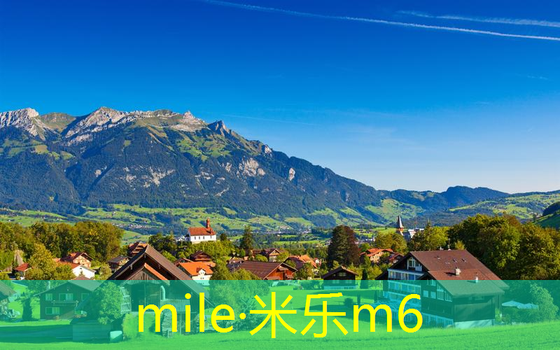 mile·米乐m6：2017年准备出的网球拍