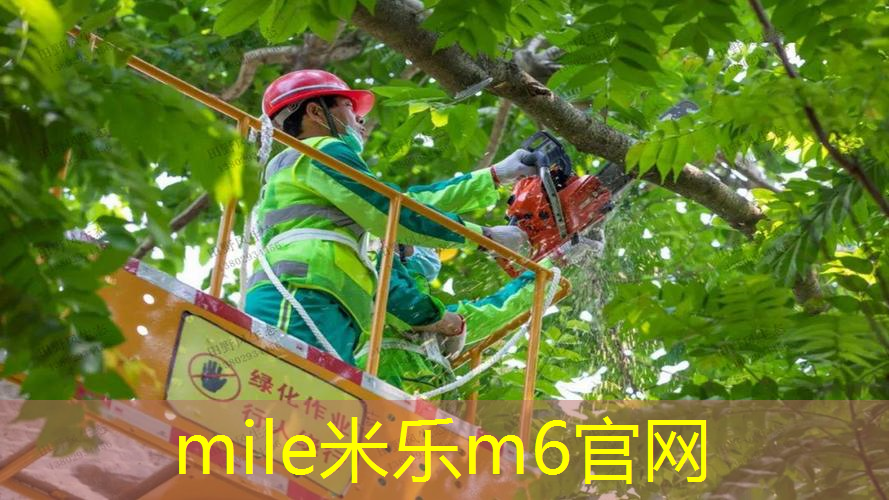 米乐m6官网登录入口：网球拍顶级拍多少磅好看