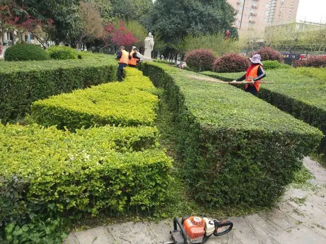 网球拍能用吗怎么用的