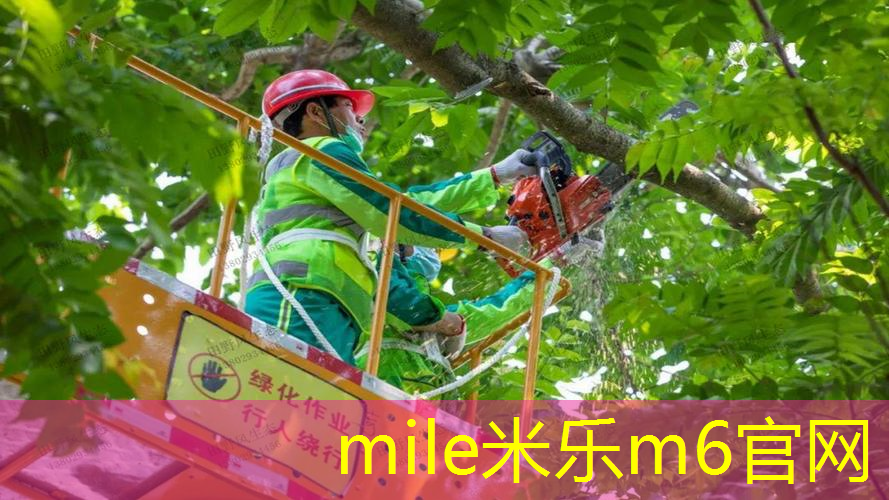 米乐：业余双打网球拍性价比高