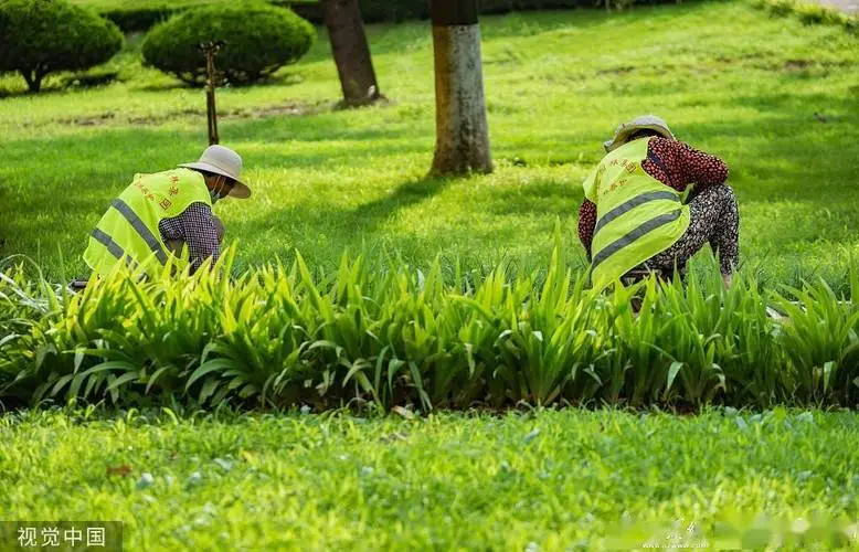 米乐m6官网登录入口：网球拍软线与硬线怎么选