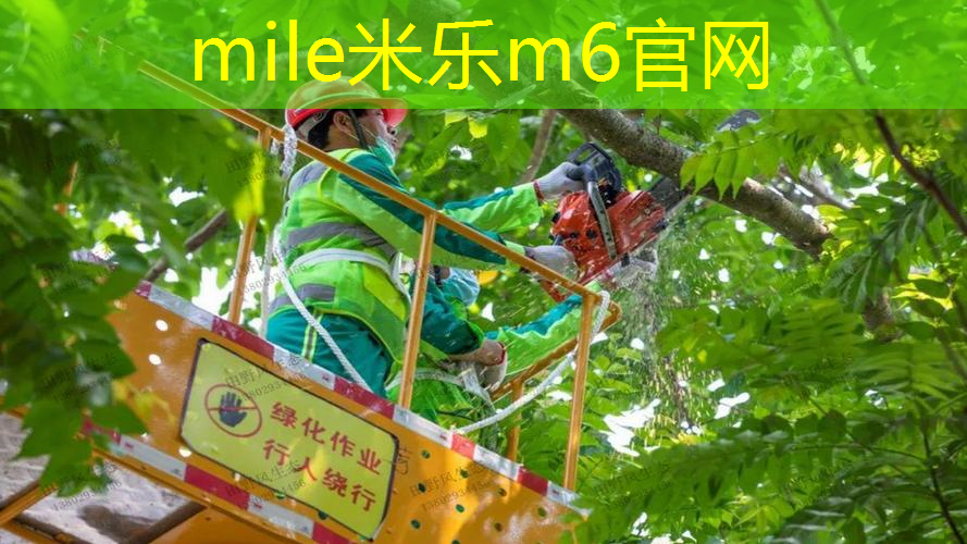 米乐：网球拍多久换新的合适呢