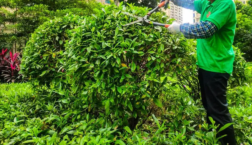 mile米乐m6官网：超轻网球拍子怎么选好用