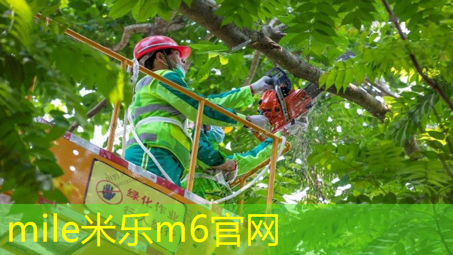 mile·米乐m6：网球拍是释放空挂吗_