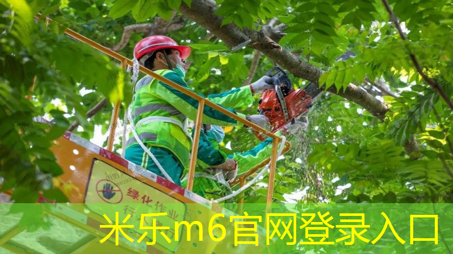 米乐m6官网登录入口：网球拍怎么看竖线有几根