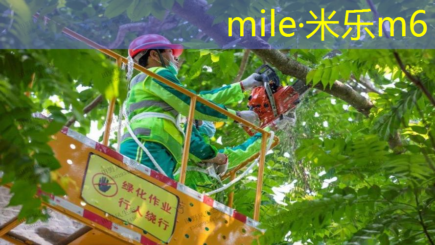 mile米乐m6官网：乒乓球台被氧化的原因