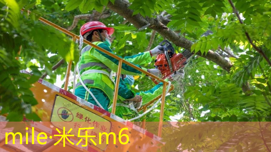 健身房室内操短篇