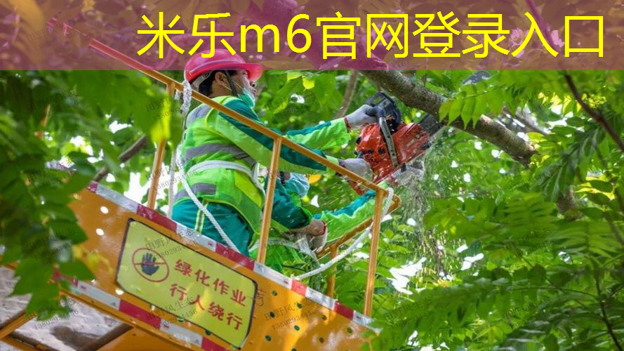 mile·米乐m6：塑胶跑道材料老化快速修复技巧全揭晓，保护你的运动场地！