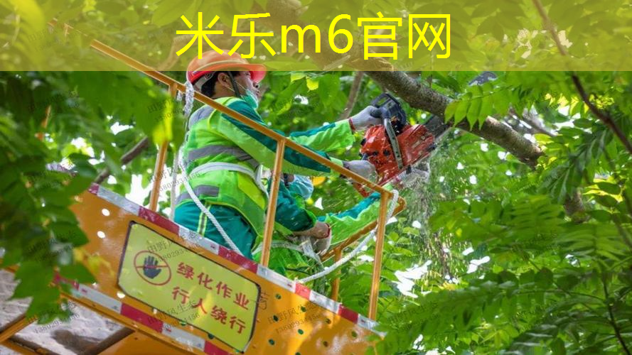 米乐：室内运动健身垫圆形还是方形