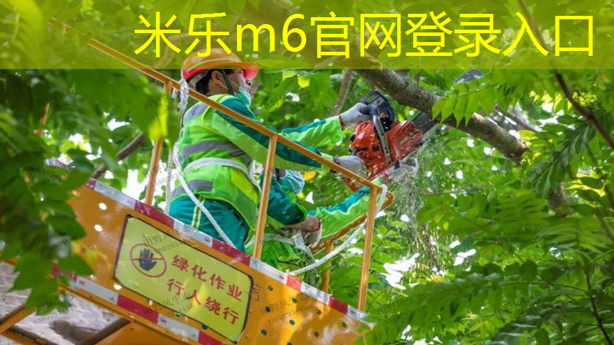 米乐：乒乓球台能用多久时间换