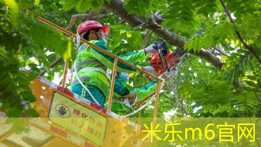 米乐m6官网登录入口：静音康体器材  安静健身，不扰他人