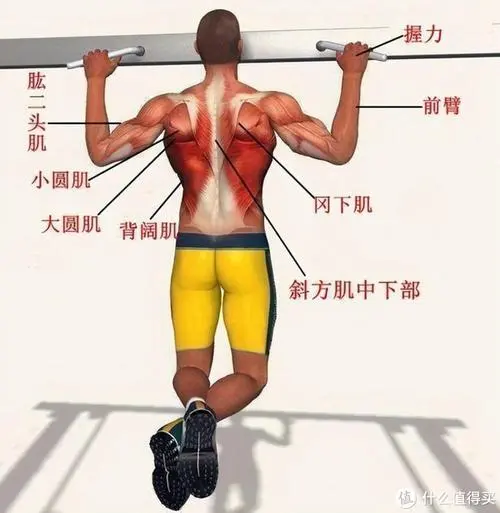 6种类型塑胶跑道材料价格