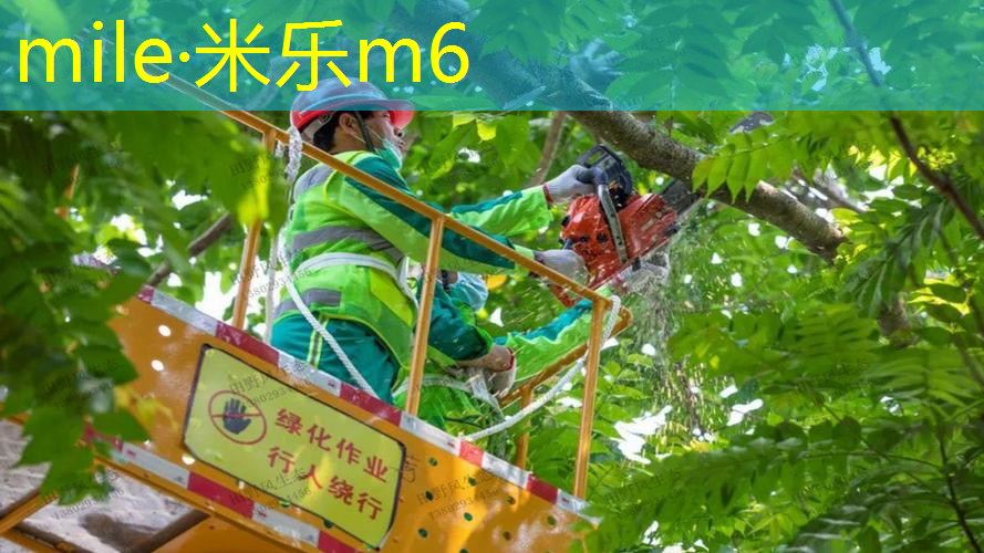 网球拍线是什么材质的好坏