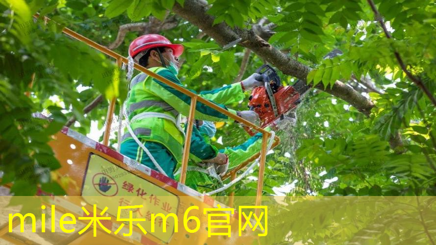 网球拍两条白线