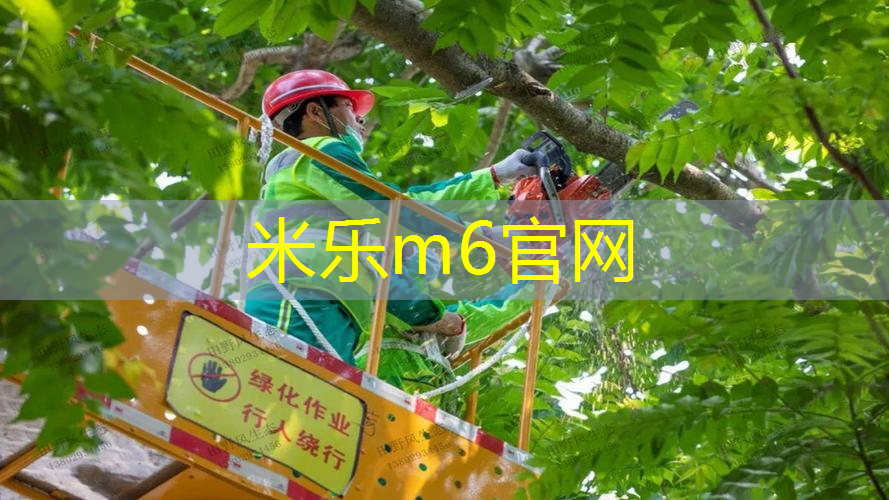 铝合金网球拍能打多久