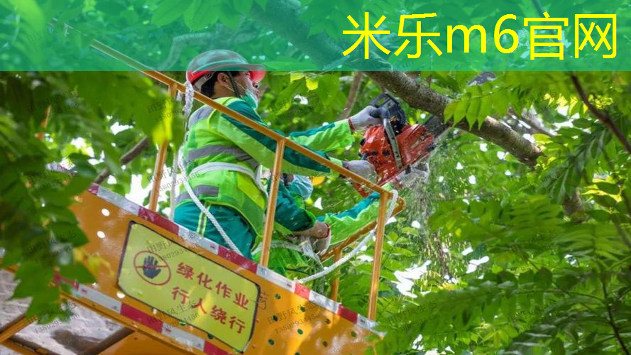 网球拍球捡球技巧图解