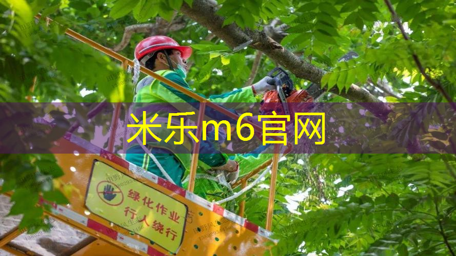 合肥尤尼克斯网球拍