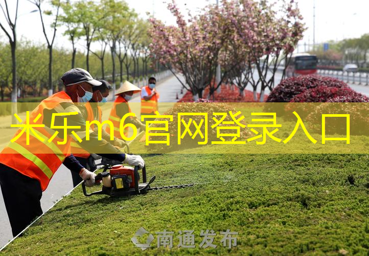 网球拍上飞机尺寸设计要求