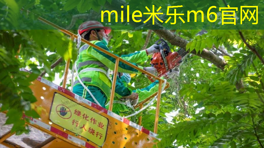 博士来网球拍怎么样好吗_