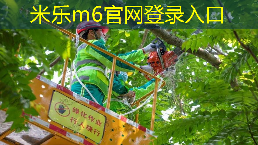 网球拍顶级拍多少磅好看