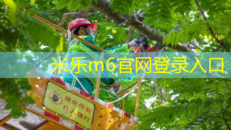 网球拍打久了出现问题