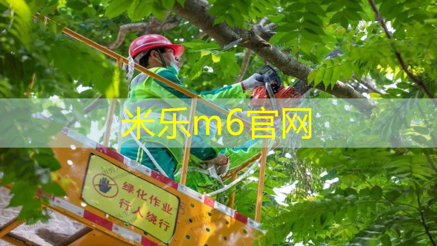 业余双打网球拍性价比高
