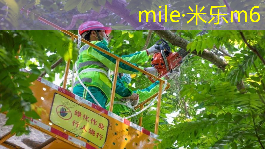 网球拍是释放空挂吗_