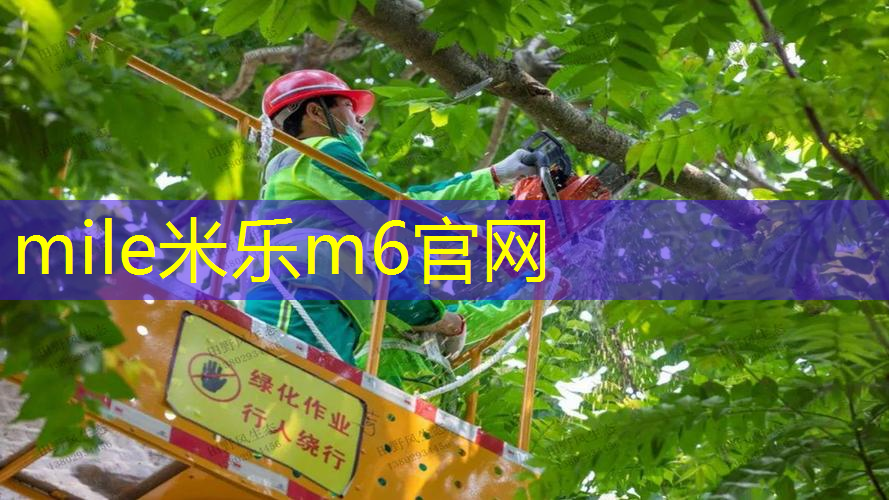 网球拍怎么看竖线有几根