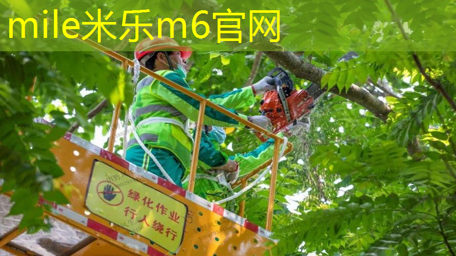 网球拍在家怎么串线的呢