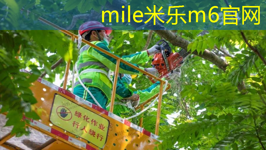 乒乓球台被氧化的原因