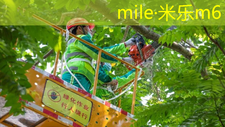 塑胶跑道材料老化快速修复技巧全揭晓，保护你的运动场地！