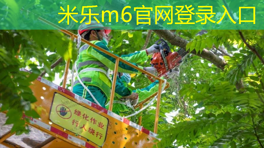 想要雕塑完美背部肌肉？门上或落地单杠作为选择？