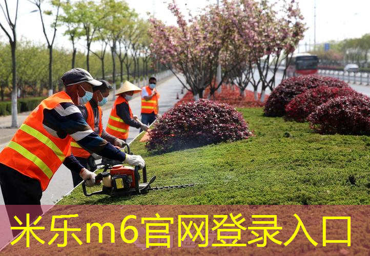 家用足球运动器材有哪些