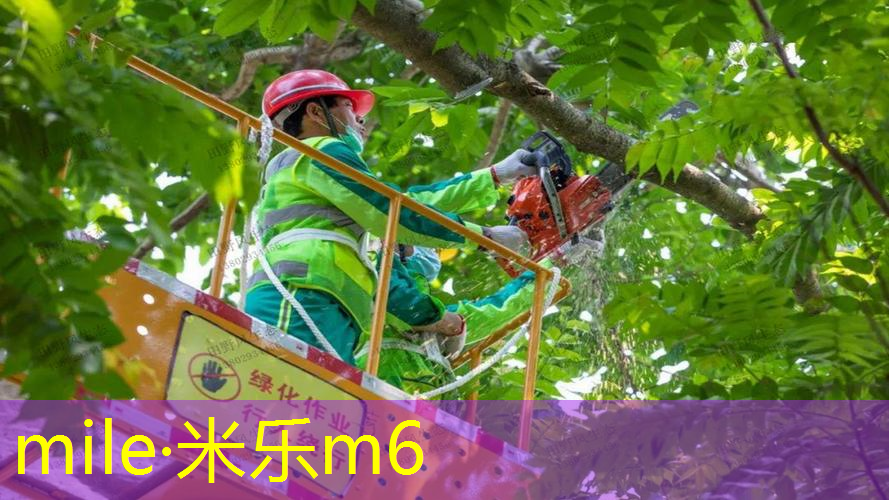 室内健身车推荐