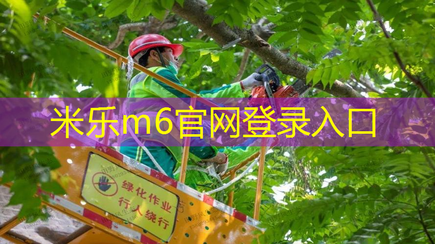 室内运动健身垫圆形还是方形